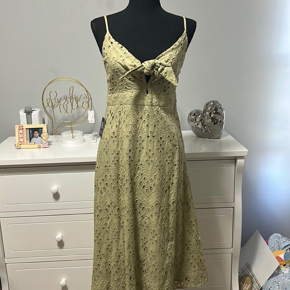 New! Express dress.